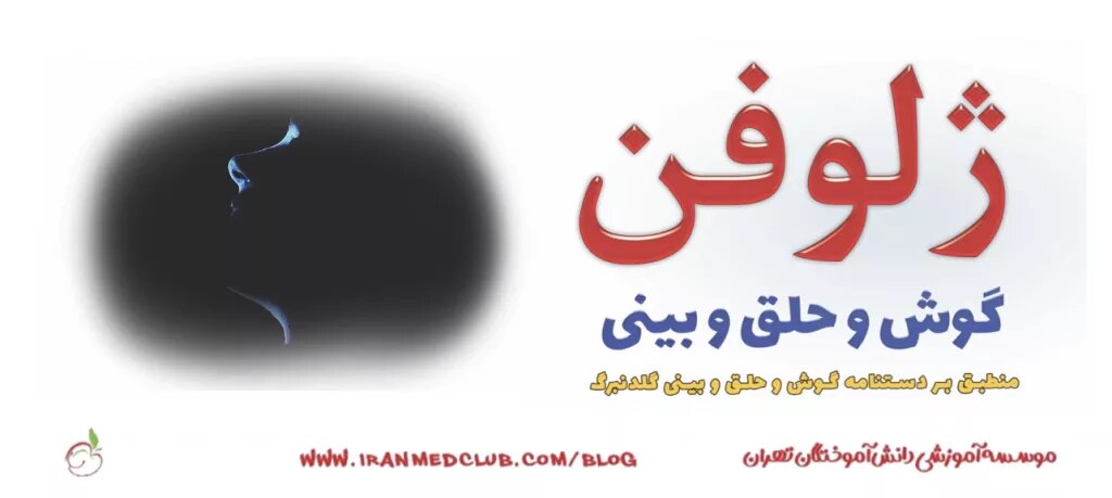 معرفی نامه ژلوفن گوش و حلق و بینی (ENT)