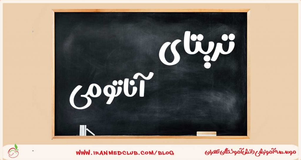 دوره آموزشی تریتا آناتومی