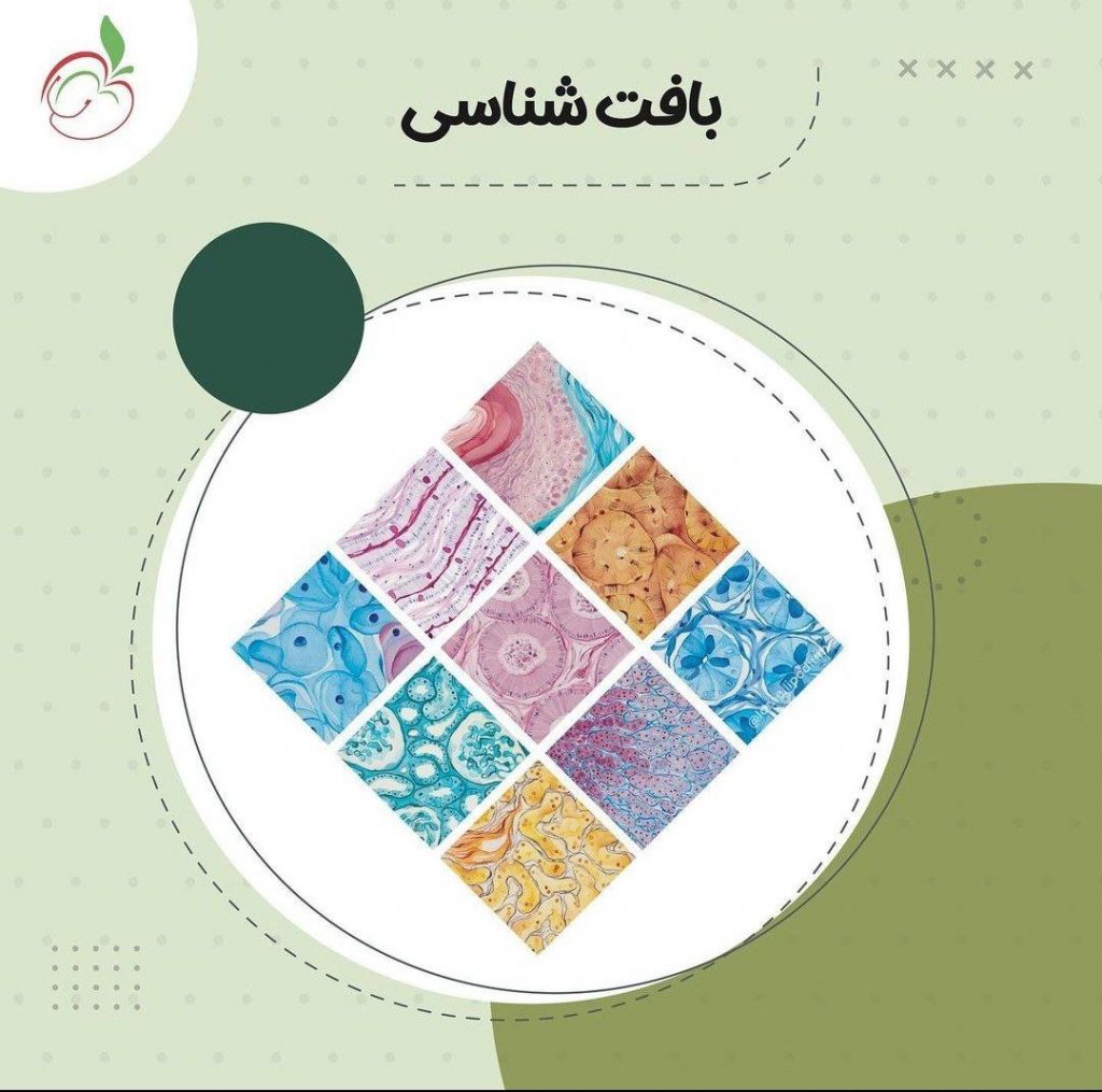 بافت شناسی برای دانشجوی پزشکی و دندانپزشکی