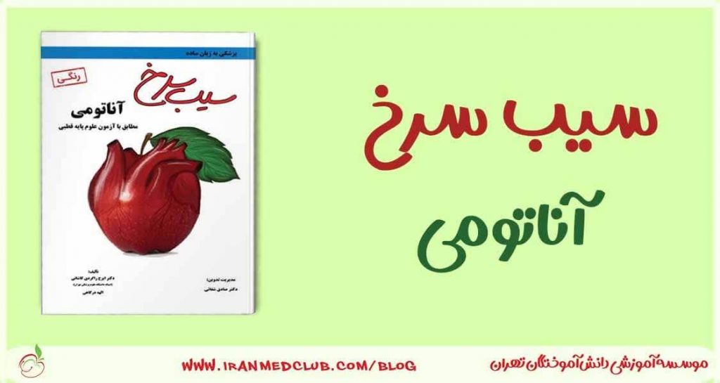 سیب‌سرخ آناتومی