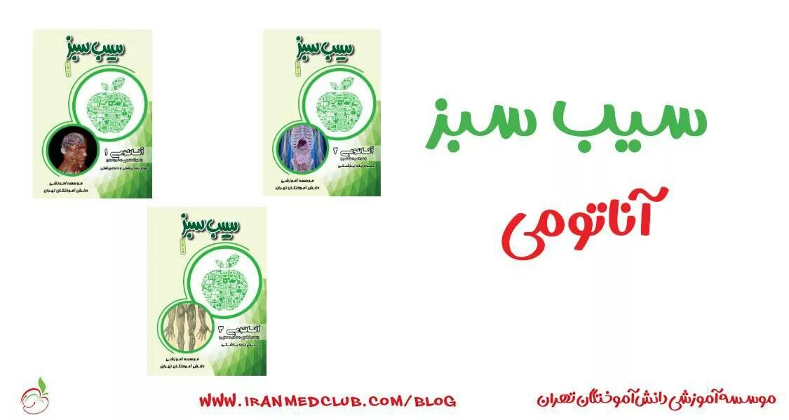 سيب سبز آناتومی