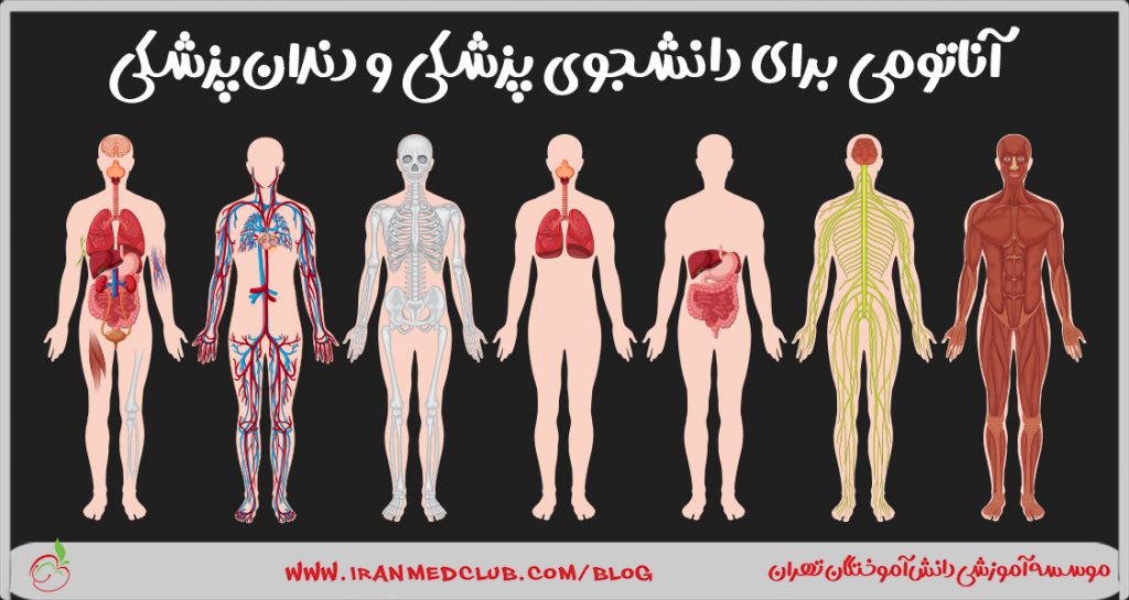 آناتومی برای دانشجوی پزشکی و دندانپزشکی