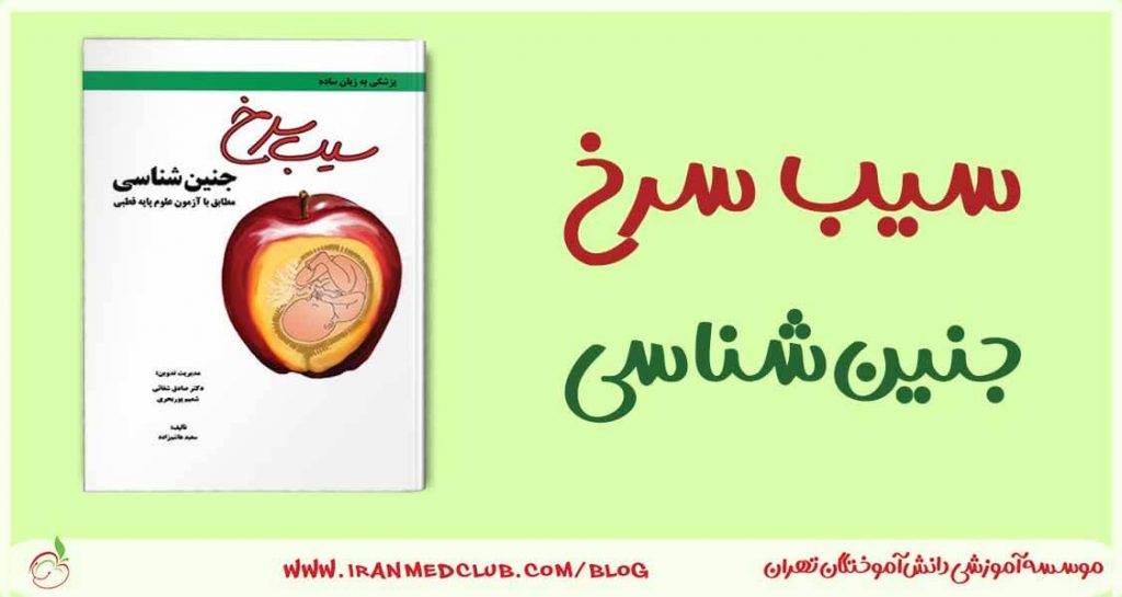 سیب سرخ جنین شناسی