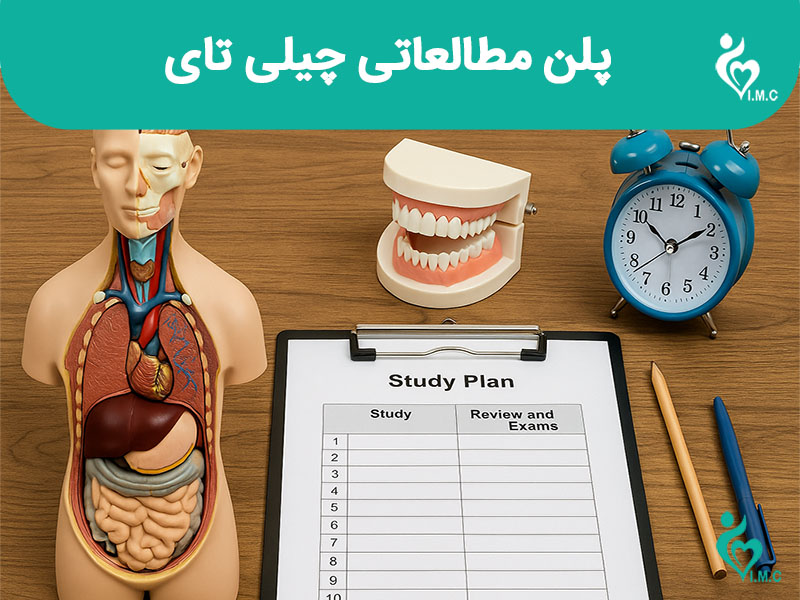 پلن مطالعاتی چیلی تای