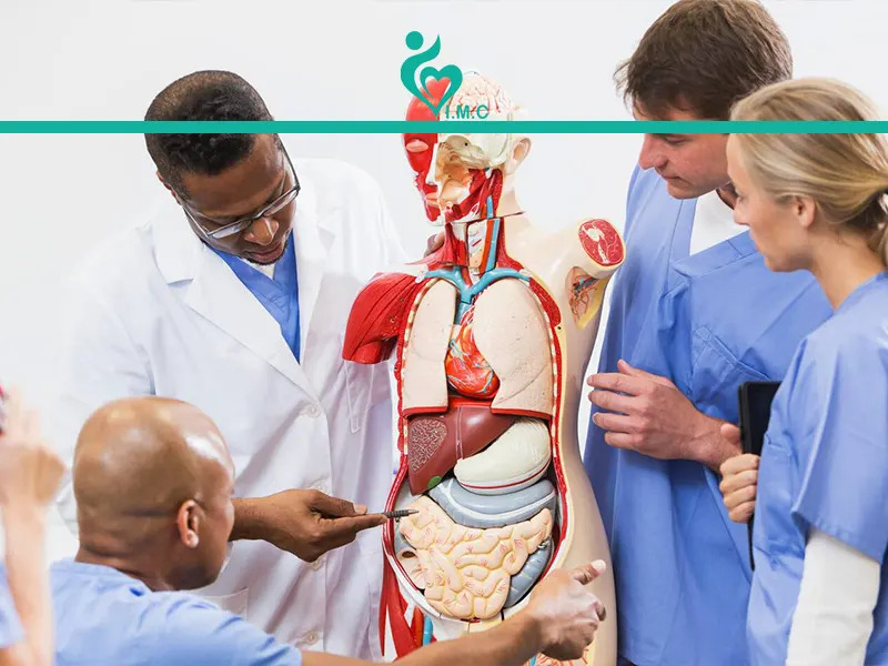 برنامه ریزی آزمون علوم پایه