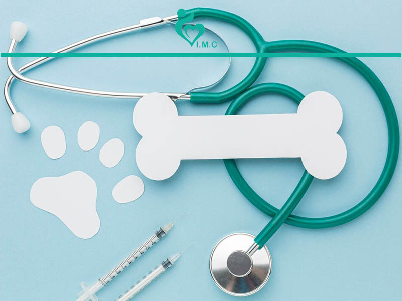 رشته دامپزشکی چیست