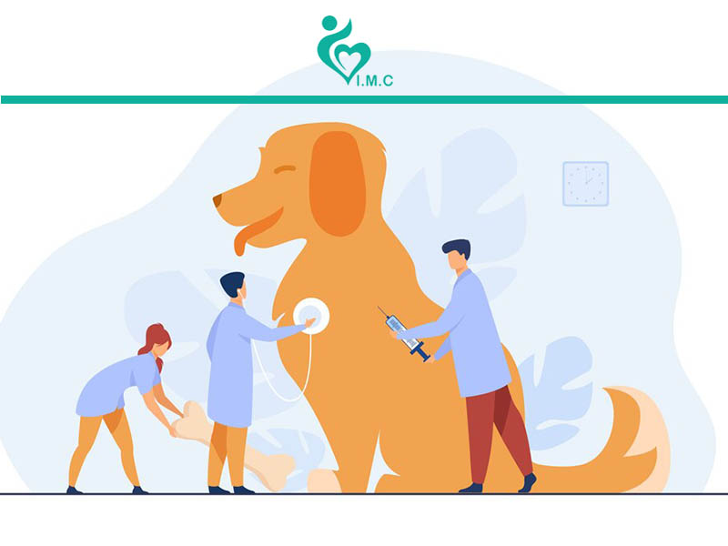 گرایش های مختلف دامپزشکی